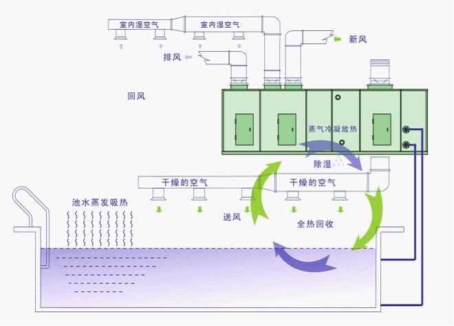 泳池除濕機示意圖3.jpg